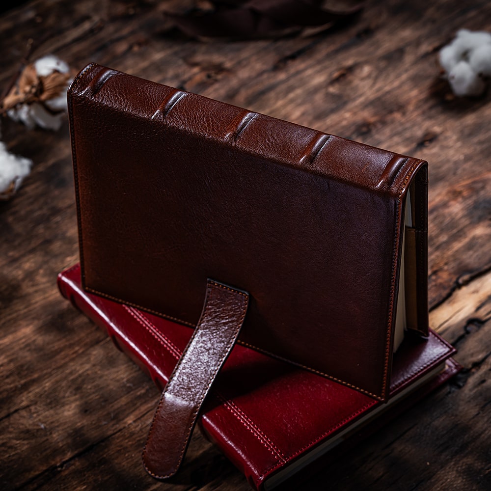 Agenda Viola 2.0, maro Agenda Viola 2.0, maro 2