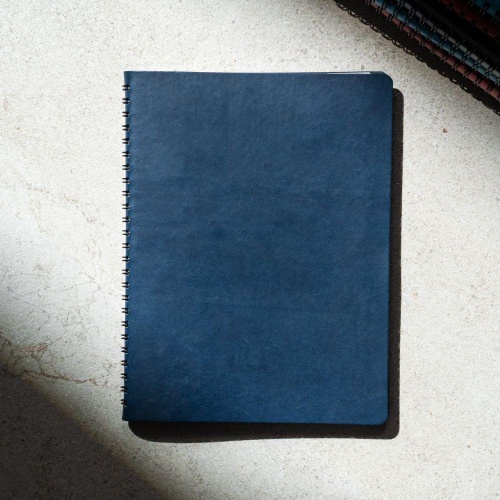 Cosmos agenda, blue*