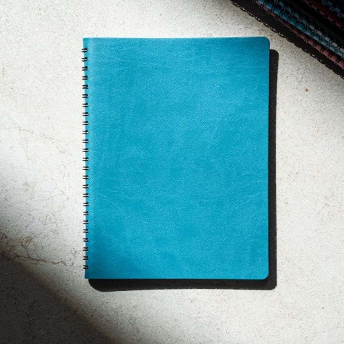 Cosmos agenda, turquoise*