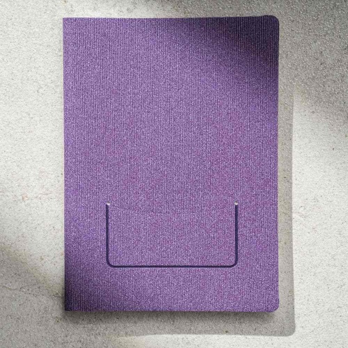 Vega agenda, purple*